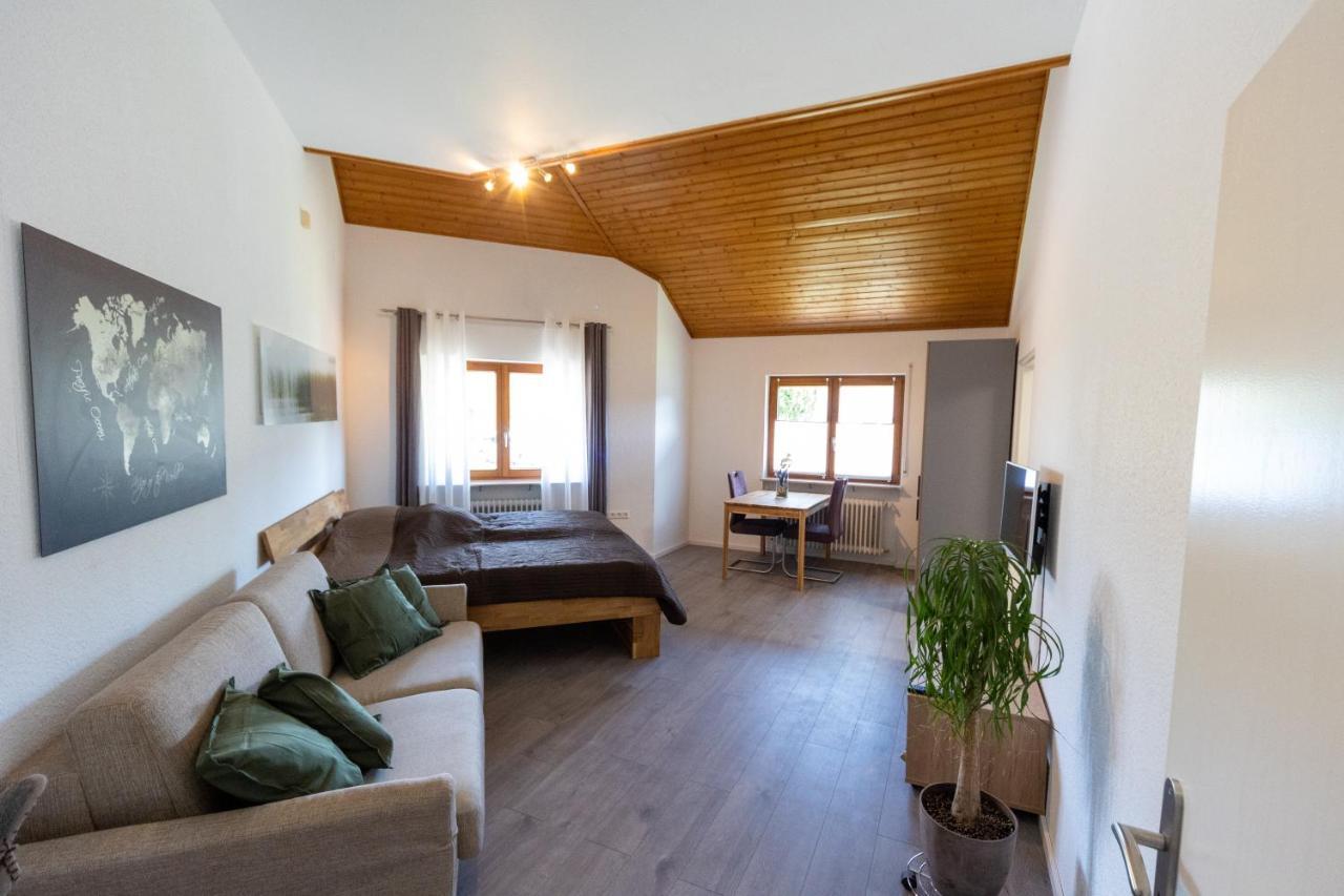 Ferienwohnung Schott Kippenheim Zewnętrze zdjęcie